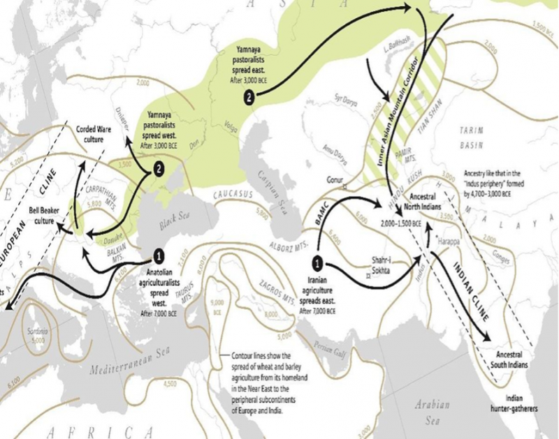 Rejecting the Myth of the Aryans: A Primer — Part II – Indiafacts