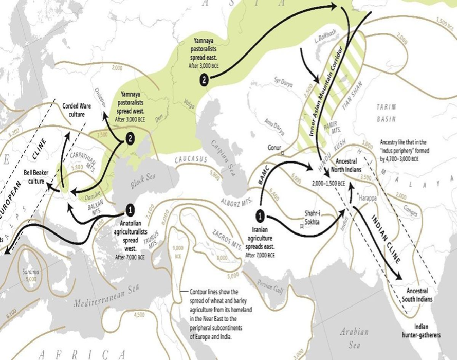Rejecting the Myth of the Aryans: A Primer — Part II – Indiafacts